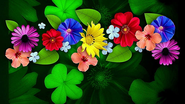 flower, flora, plant, leaf, petal, wildflower, colorful, colors, HD wallpaper