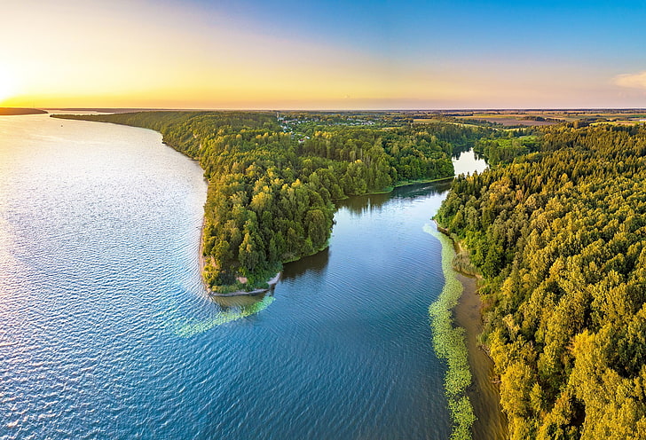 pine trees, forest, lake, panorama, Lithuania, Kaunas Reservoir, HD wallpaper