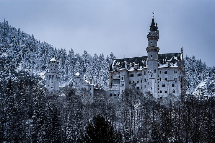 winter, forest, castle, Germany, Bayern, Bavaria, Neuschwanstein Castle