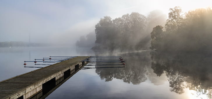 photo of gray boardwalk with fog surrounded by trees, Djurgården