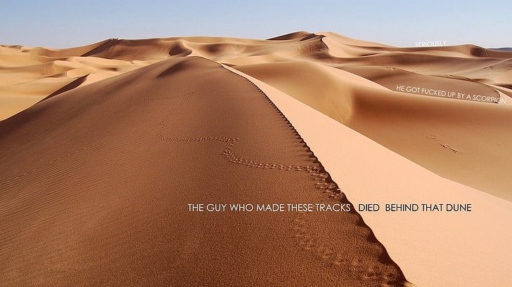 desert, fuckscape, dune, footprints, sand dune, climate, land, HD wallpaper