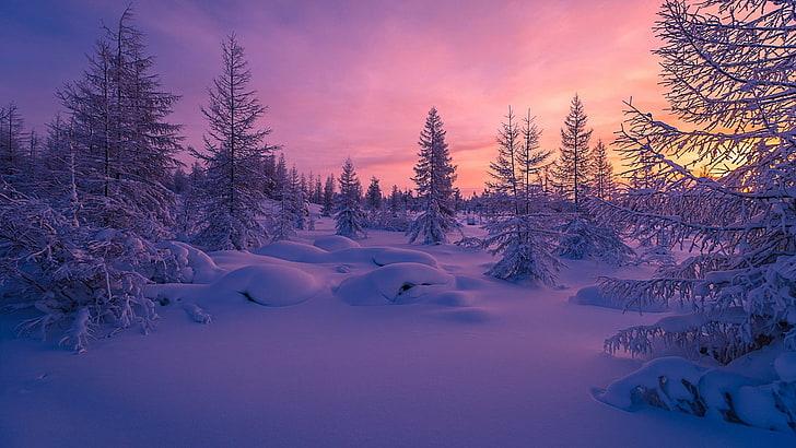 winter, snow, blue, sky, nature, freezing, sunset, wilderness, HD wallpaper