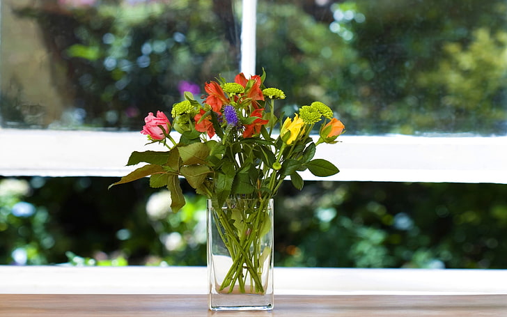 assorted-color rose flowers, herbs, bouquet, window sill, vase