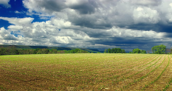 farm field during cloudy day, Columbia, Wildlife Management Area, HD wallpaper