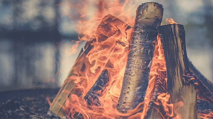 brown woods, fire, log, campfire, burning, heat - temperature