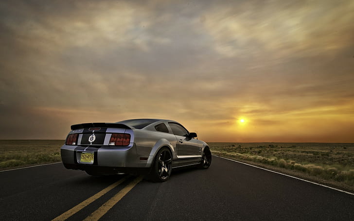 HD wallpaper: Ford Mustang Road HD, cars | Wallpaper Flare