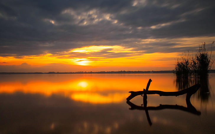 Sunset Peaceful Lake Water Reeds Cane Orange Sky, Dark Clouds Reflection Desktop Wallpaper Hd