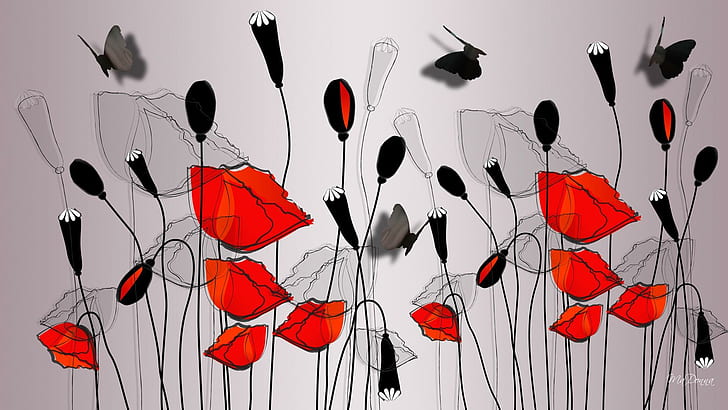 Poppies Shadow Butterflies, draw, butterfly, flowers, spring, HD wallpaper