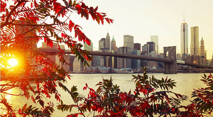 New York, Brooklyn, city, bridge, autumn leaves