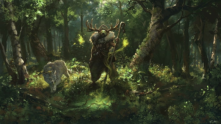 Fantasy, Druid, Wolf, HD wallpaper