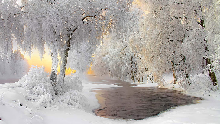 photography, Finland, snow, ice, landscape, cold temperature