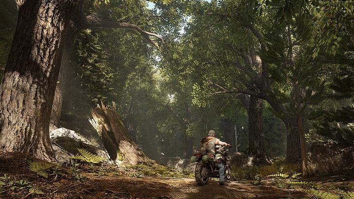 bike, survival horror, PS 4, best games, Days Gone, tree, forest, HD wallpaper