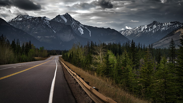 asphalt road between trees, concrete road towards mountain, landscape