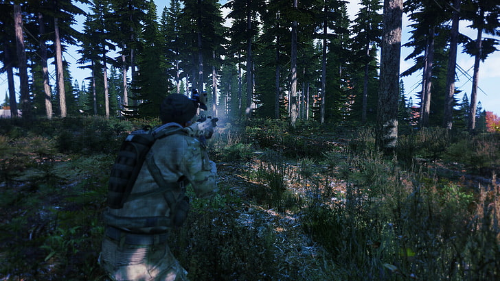 chernarus, Arma 3, video games, tree, plant, forest, land, growth, HD wallpaper