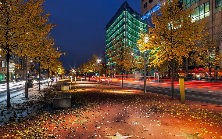 brown leaf trees, city, Berlin, fall, street light, long exposure, HD wallpaper