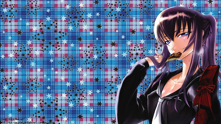 highschool of the dead busujima saeko 1920x1200  Anime Hot Anime HD Art, HD wallpaper