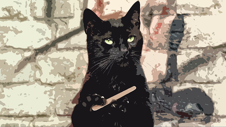 black cat painting, black cats, animals, humor, domestic animals, HD wallpaper