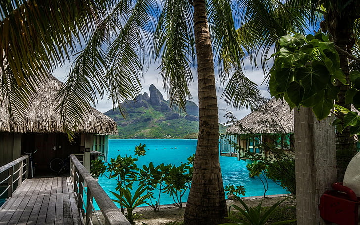 Nature, Landscape, Tropical Island, Beach, Resort, Palm Trees, Sea, Bora Bora, Vacations, coconut tree, HD wallpaper