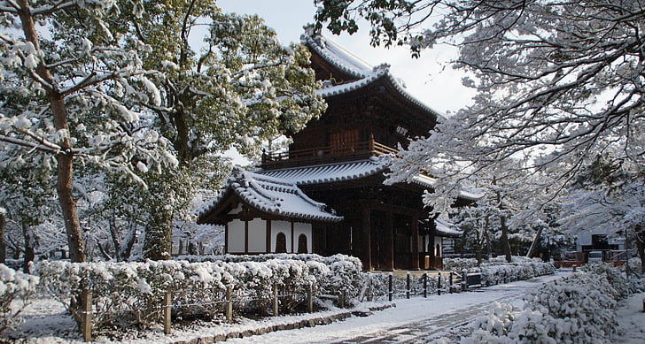 Temples, Japan, Kennin-Ji Temple, Kyoto, Snow, Winter