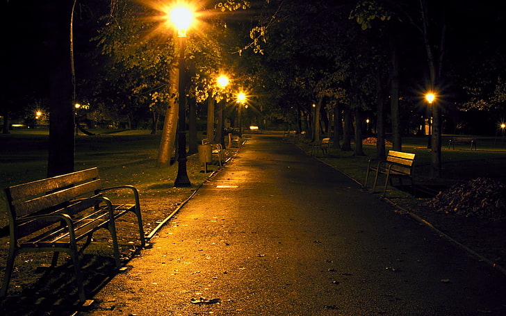 brown bench, city, night, park, benches, street, outdoors, street Light
