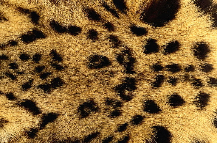 brown and black textile, texture, fur, animal texture, the background on the desktop