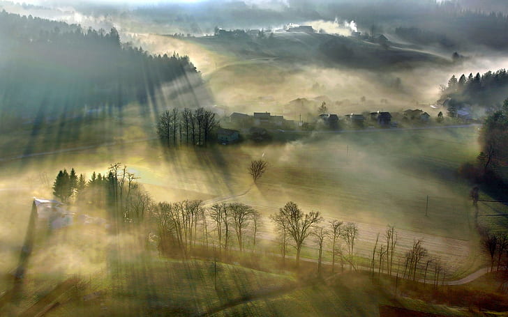 Nature, Mist, Landscape, Sun Rays, Villages, Sunrise, Forest, Road, Field, HD wallpaper