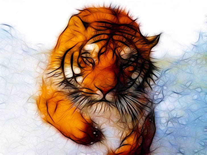 tiger, CG, human body part, close-up, animal wildlife, bird, HD wallpaper