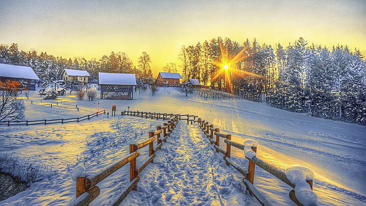sky, fence, sunlight, snow trail, footpath, morning, tree, snowy