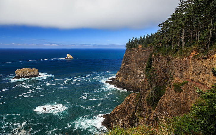 Oregon Coast, brown cliff, rocks, beach, forest, ocean