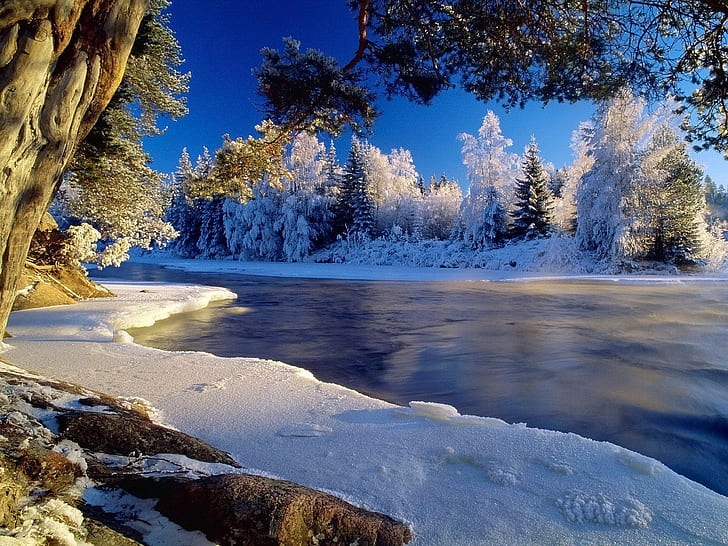 landscape, nature, winter, river, ice, snow, trees, HD wallpaper