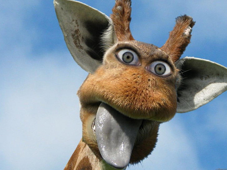 HD wallpaper: Ear Eyes Ridiculous Giraffe Entertainment Funny HD Art, face  | Wallpaper Flare