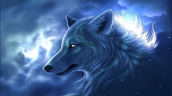 wolf, imagination, stars, cloud, one animal, cloud - sky, mammal