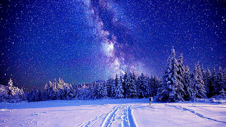 milky way, winter, sky, stars, starry night, snowy, forest, HD wallpaper