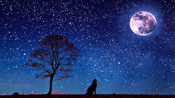 full moon, silhouette, wolf howling, moonlight, stars, starry night
