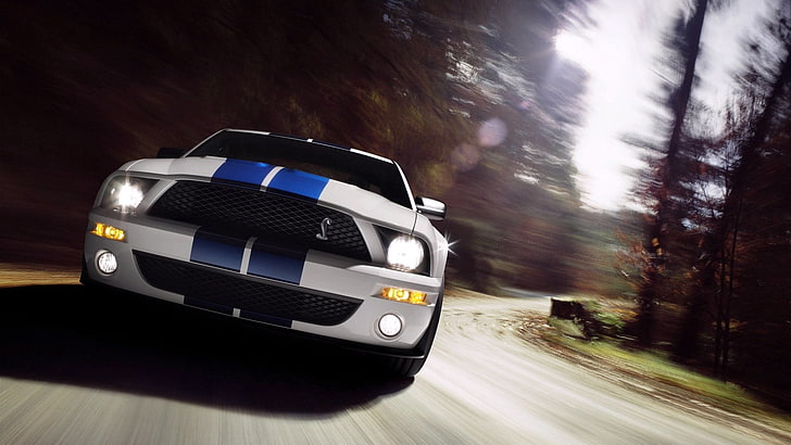 white and blue Ford Mustang Cobra, muscle cars, Shelby, transportation