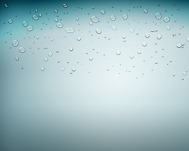 water drops, wet, rain, backgrounds, transparent, abstract, HD wallpaper