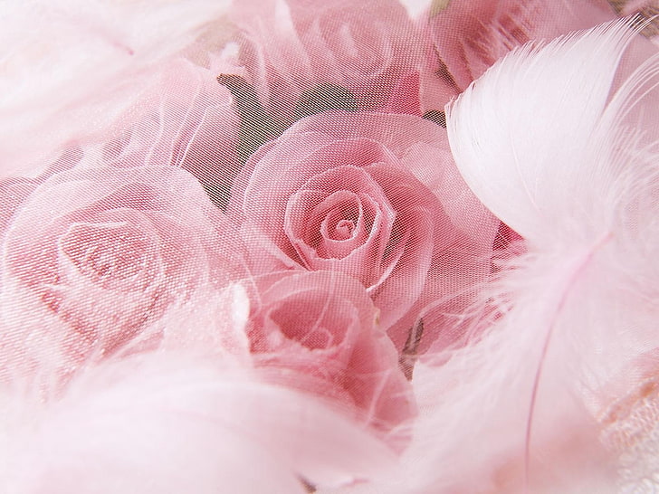 bouquet of pink rose, roses, flowers, buds, net, feathers, close-up