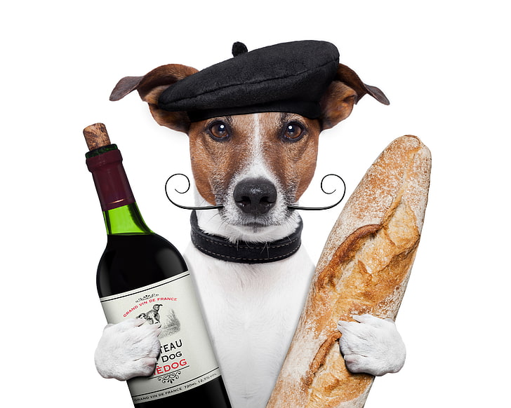 Jack Russell terrier holding wine bottle and bread illustration