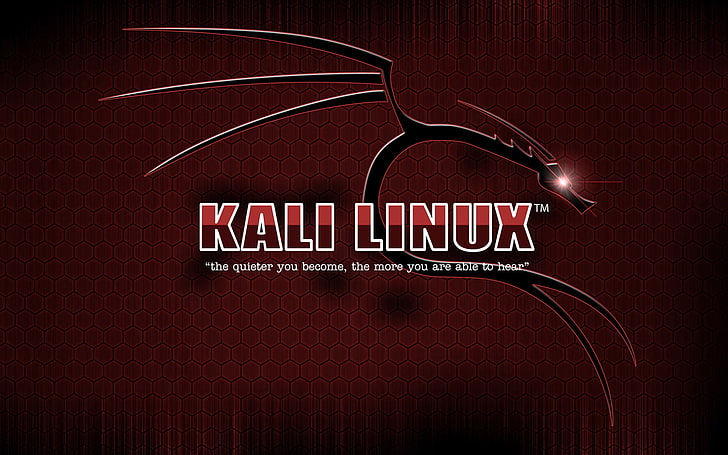 Kali Linux, text, western script, red, communication, indoors