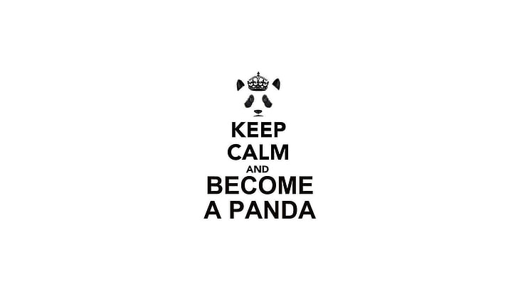 Keep Calm and Become A Panda quotes, Keep Calm and..., white background, HD wallpaper