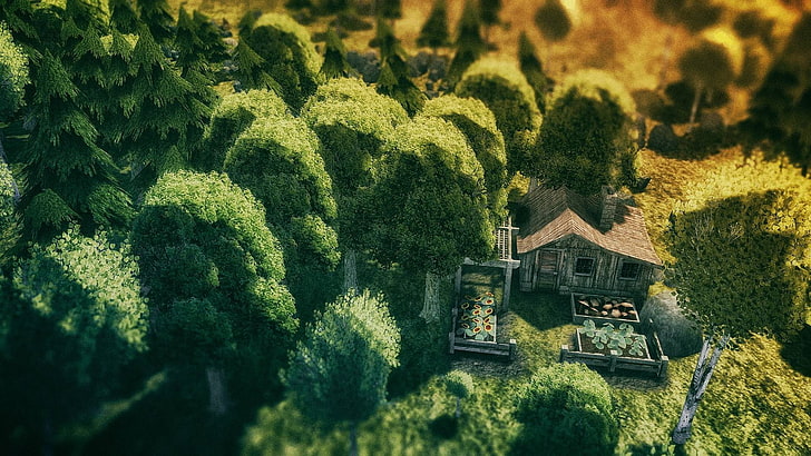 Banished, Steam (software), video games, plant, tree, architecture, HD wallpaper