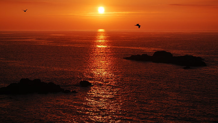 sea, horizon, sunset, sky, afterglow, calm, ocean, shore, coast, HD wallpaper