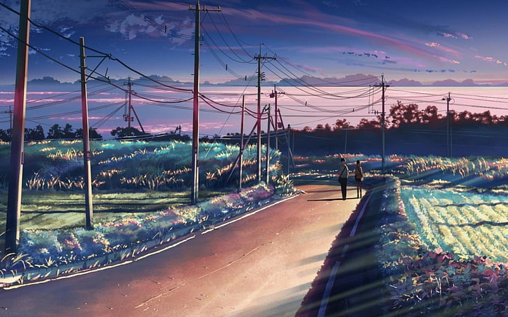 5 Centimeters Per Second, field, Makoto Shinkai, path, Power Lines, HD wallpaper