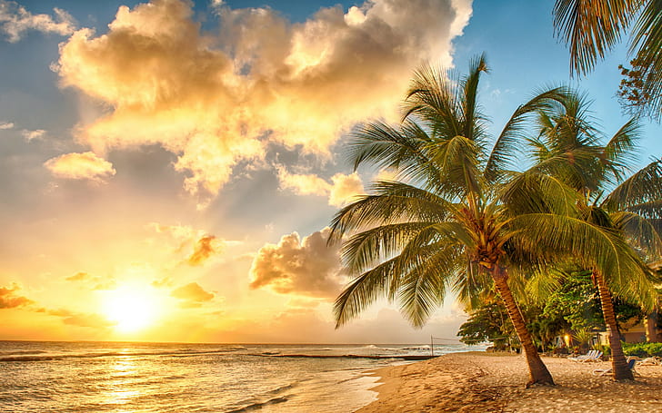Ocean beach paradise, tropical, palms, Sea, Sunset, HD wallpaper
