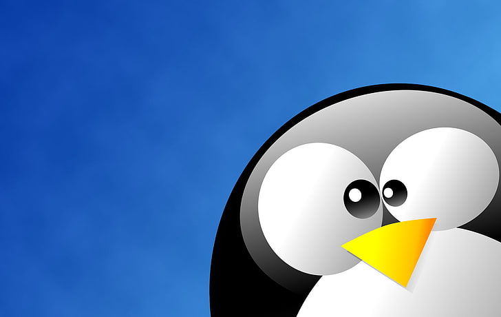 Linux Tux In Blue, black and white penguin illustration, Computers