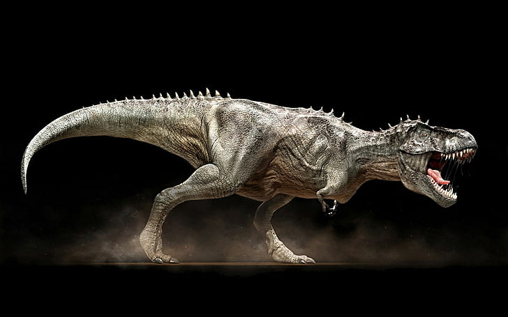 dinosaurs, rex, tyrannosaurus, HD wallpaper