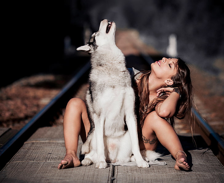 adult white and black Siberian husky, girl, rails, wolf, pets