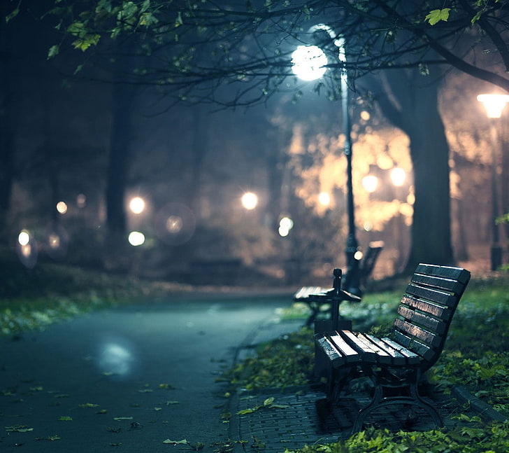 bench, lantern, night, lights, park, seat, plant, tree, empty, HD wallpaper