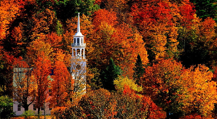 Church, Strafford, Vermont, white cathedral, Seasons, Autumn, HD wallpaper