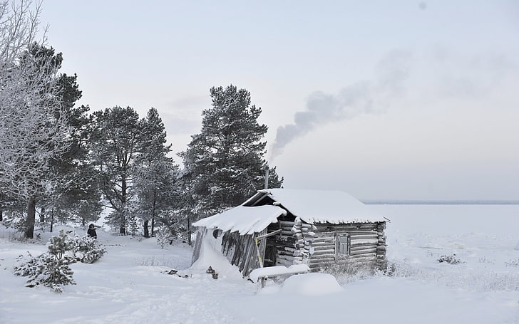 landscape, nature, snow, cabin, winter, cold temperature, tree, HD wallpaper